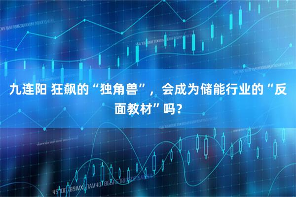 九连阳 狂飙的“独角兽”，会成为储能行业的“反面教材”吗？