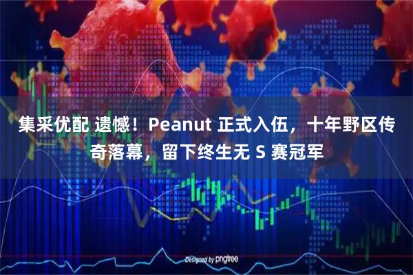 集采优配 遗憾！Peanut 正式入伍，十年野区传奇落幕，留下终生无 S 赛冠军