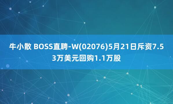 牛小散 BOSS直聘-W(02076)5月21日斥资7.53万美元回购1.1万股