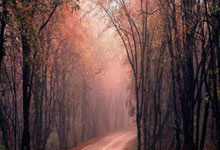 股票选股软件app排名前十:股票杠杆怎么做-两部门印发《工业母机高质量标准体系建设方案》